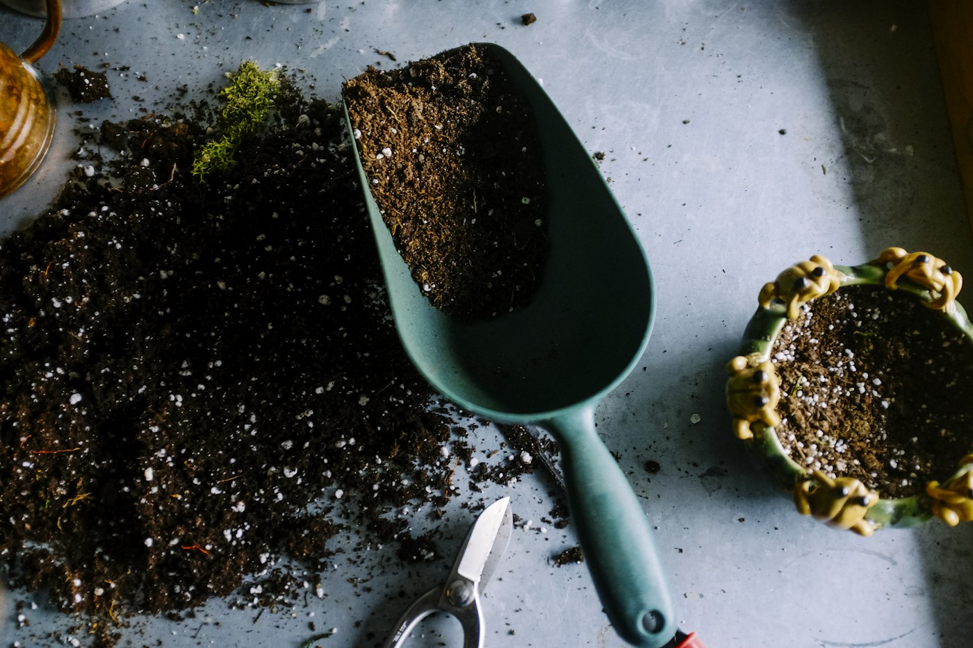 Plants and gardening tools in a growing space